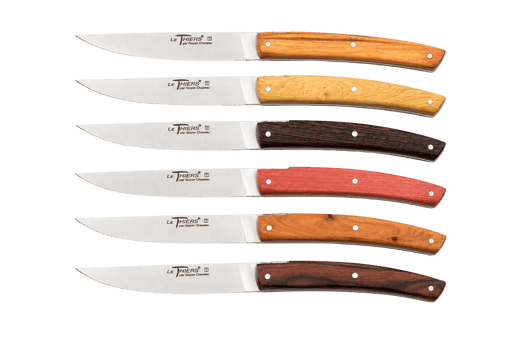 Le Thiers Brasserie Steak Knives Set (Mixed) 110mm - Kakushin
