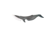 Tosa Ao2 Utility Whale Knife - Kakushin