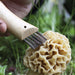 Mushroom Oak #8 with Sheath - Opinel Knife 70mm - Kakushin